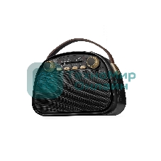 Радиоприемник Ritmix RPR-040 черный