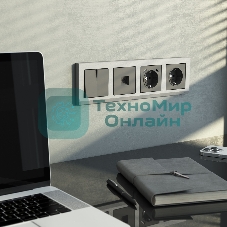 Выключатель двухклавишный проходной WERKEL (графит матовый) W1122064