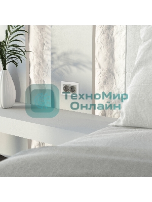 Розетка двойная с заземлением WERKEL (дымчатый) W1272004