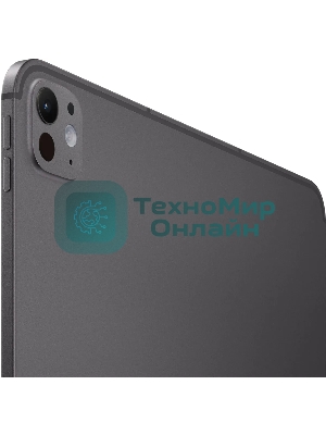 Планшет Apple iPad Pro 2024 A2926 13