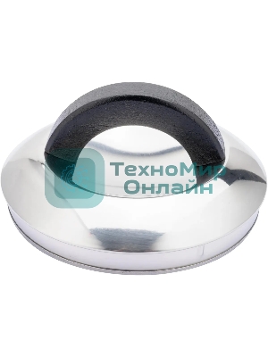 Чайник для плиты металлический Starwind Chef Concept 3 л. черный (SW-CH1510)