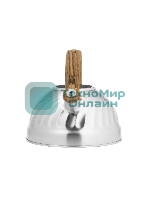 Чайник для плиты LARA LR00-69 (зеркальный) 2.7 л индукционное капсулированное дно, свисток с кноп. Механизмом