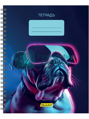 Набор тетрадей Silwerhof 2001674 48 листов, клетка, A5, Неоновые животные в очках 3 дизайна, мелованный картон, гребень (упаковка: 3шт)