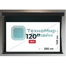 Экран для проектора S'OK Apollo SGPSMT-266x149A-BK бокового натяжения, звукопрозрачный, черный
