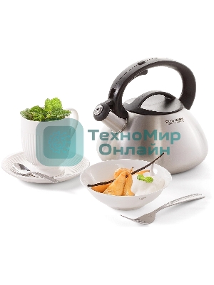 Чайник металлический Rondell Sieden RDS-088 3 л, стальной