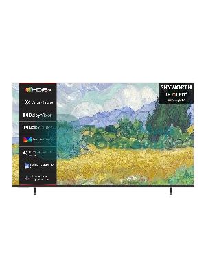 Телевизор Skyworth 55