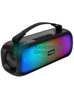 Портативная аудиосистема Telefunken TF-PS1281B (черный)