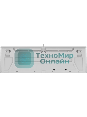 Клавиатура проводная A4Tech Fstyler FS100 Neon, USB, серый/белый