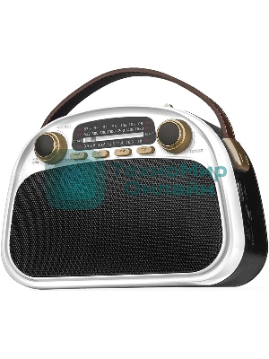 Радиоприемник Ritmix RPR-040 белый