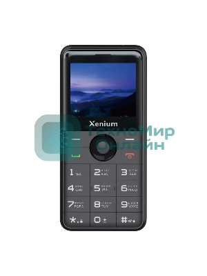 Мобильный телефон Xenium X700 черный