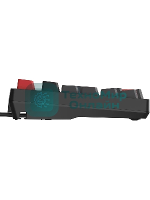 Клавиатура проводная A4Tech Bloody AT98 USB черный/красный