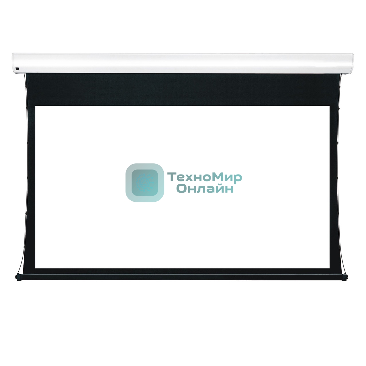 Экран для проектора S'OK Apollo SGPSMT-295x184A-BK бокового натяжения, звукопрозрачный, черный