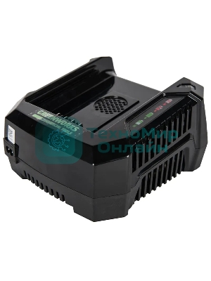 Зарядное устройство Greenworks 291470782В