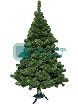 Ель Сибирская 1,8 м 0118