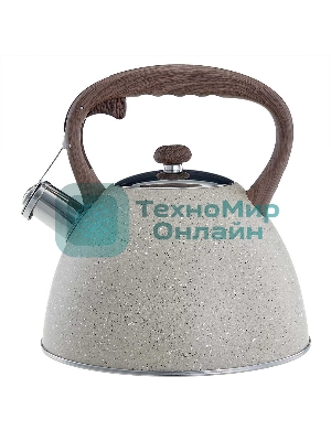 Чайник ALPENKOK AK-533 3 л