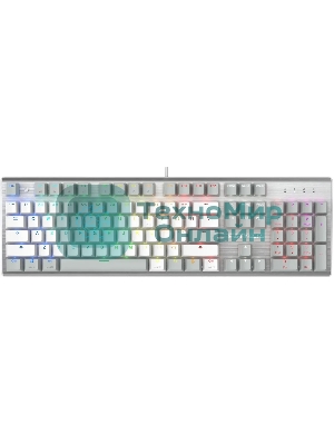 Клавиатура проводная A4Tech Fstyler FS100 Neon, USB, серый/белый