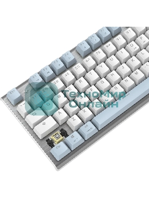 Клавиатура проводная A4Tech Fstyler FS100 Neon, USB, синий/белый