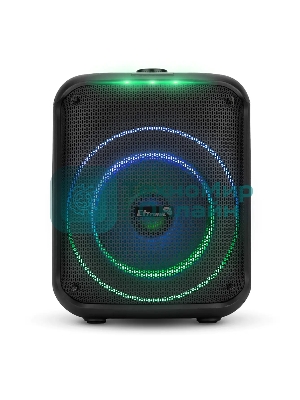 Колонка ELTRONIC 30-78 DANCE BOX 550 - 08