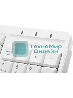 Клавиатура проводная A4Tech Fstyler FK15, USB, белый