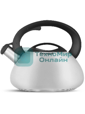 Чайник металлический Rondell Krafter RDS-1607 3 л, стальной