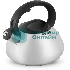 Чайник металлический Rondell Krafter RDS-1607 3 л, стальной