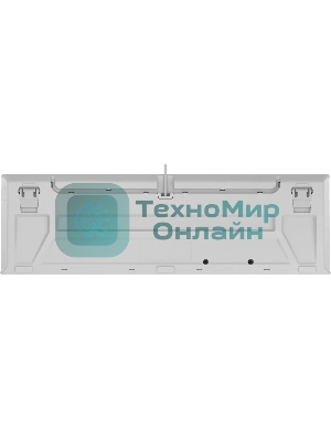 Клавиатура проводная A4Tech Fstyler FS100 Neon, USB, синий/белый