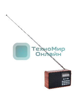 Радиоприемник PERFEO (PF_D0573) ALPINIST, коричневый