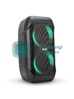 Колонка Eltronic 06