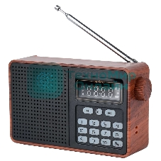 Радиоприемник PERFEO (PF_D0573) ALPINIST, коричневый