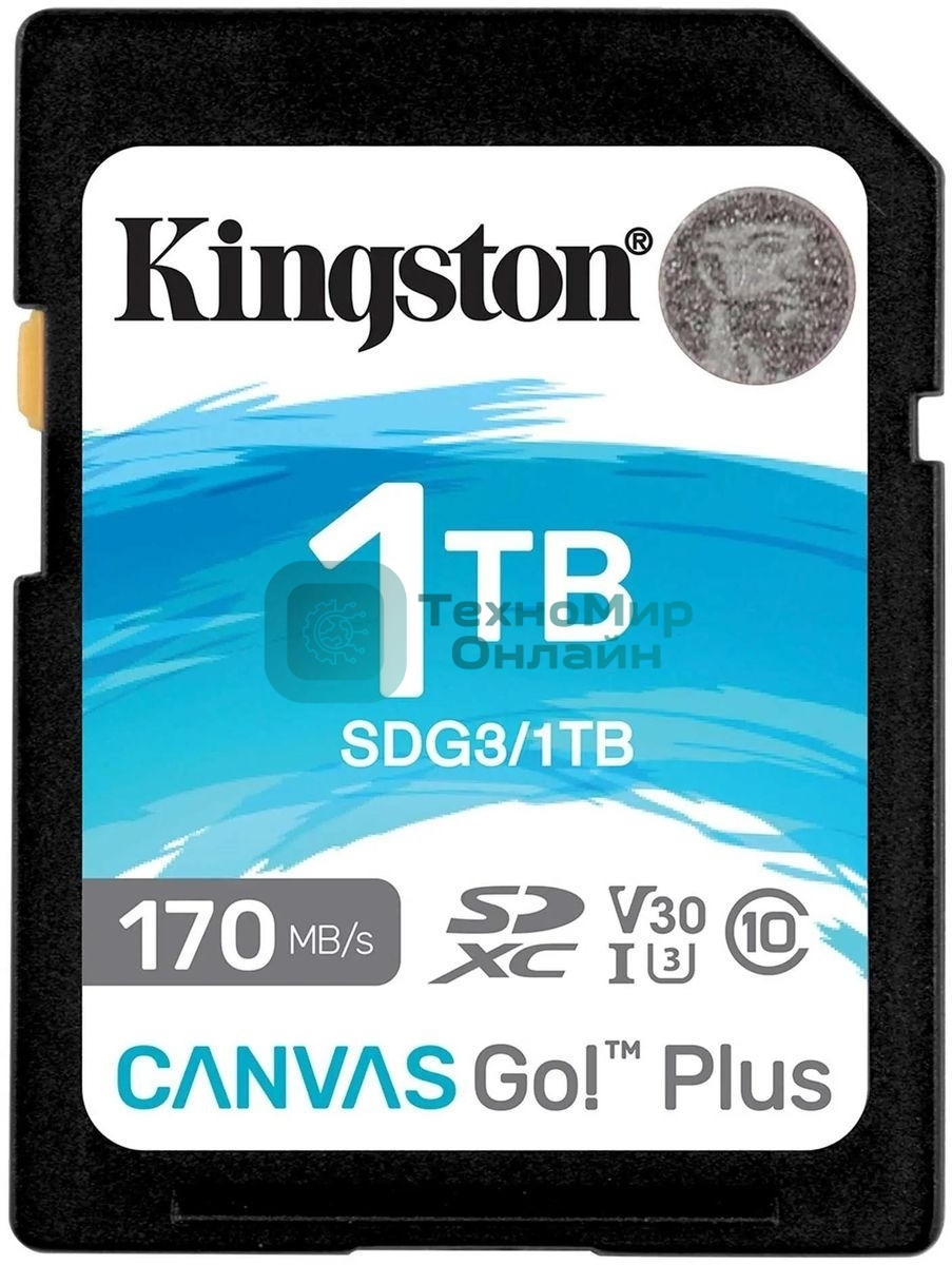 Флеш карта Kingston 1Tb SDXC Canvas Go Plus 170R C10 UHS-I U3 V30/Kingston 1Tb SDXC Canvas Go Plus 170R C10 UHS-I U3 V30
