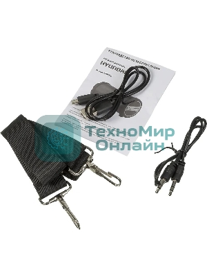 Колонка портативная Hyundai H-PAC220 черный/голубой 10W 1.0 BT/3.5Jack/USB