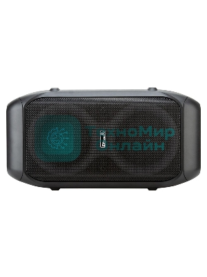 Колонка Eltronic 06