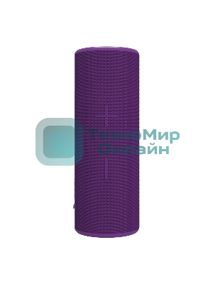 Портативная колонка Soundmax SM-PS5024B(фиолетовый)