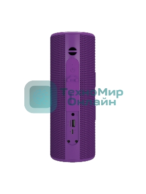 Портативная колонка Soundmax SM-PS5024B(фиолетовый)