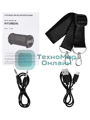 Колонка портативная Hyundai H-PAC220 черный/голубой 10W 1.0 BT/3.5Jack/USB