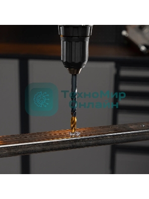 Набор сверл по металлу Denzel 1-10 мм, HSS-Tin, Golden Tip, 19 шт