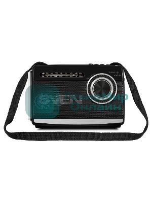 Радиоприемник SVEN SRP-155, черный