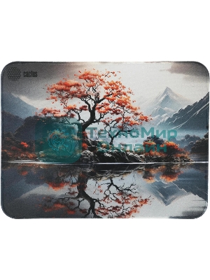 Коврик для мыши Cactus Lake 400x300x3мм (CS-MP-PRO18XL)