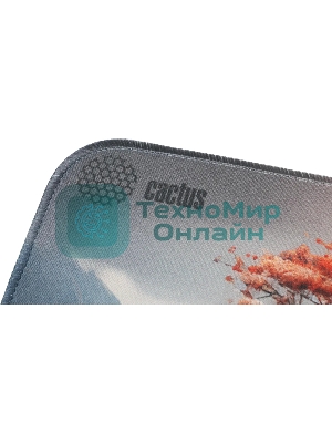 Коврик для мыши Cactus Lake 400x300x3мм (CS-MP-PRO18XL)