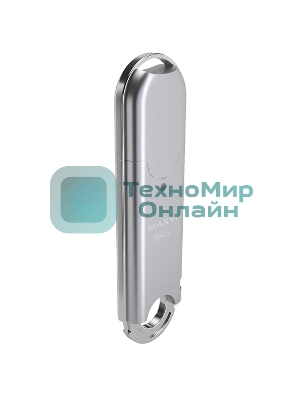 Флешка USB Maxvi P2 silver (FD64GBUSB20C10P2), 64Gb, USB 2.0, R/W 20/10, серебристый