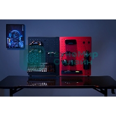 Органайзер Cactus CS-PEGb-RDBK черный/красный