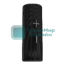 Портативная колонка Soundmax SM-PS5024B черный