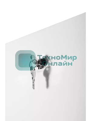 Шкаф коммутационный ЦМО (ШТК-Э-42.8.8-13АА) напольный 42U 800x800 мм пер. дв. стекл металл 2 бок. пан. 710 кг серый 715 мм 105 кг