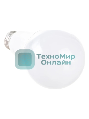 Лампа светодиодная Feron LB-100 25W 230V E27 6400K A65