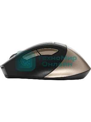 Мышь беспроводная A4Tech Fstyler FG35 золотистый/черный, 2000 dpi, радиоканал, USB, кнопки - 6
