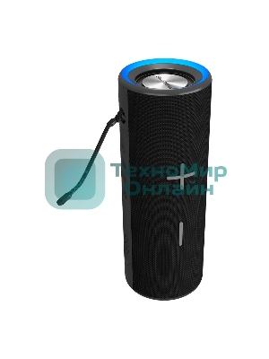 Портативная колонка Soundmax SM-PS5024B черный