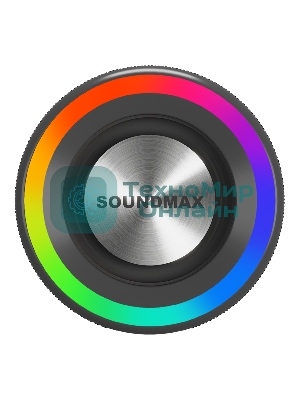 Портативная колонка Soundmax SM-PS5024B черный