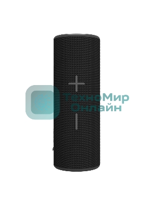 Портативная колонка Soundmax SM-PS5024B черный