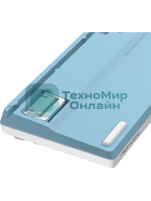 Клавиатура проводная A4Tech Fstyler FS300 (FS300 PANDA SNOWBOARDING), USB, белый/синий