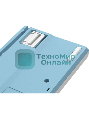 Клавиатура проводная A4Tech Fstyler FS300 (FS300 PANDA SNOWBOARDING), USB, белый/синий